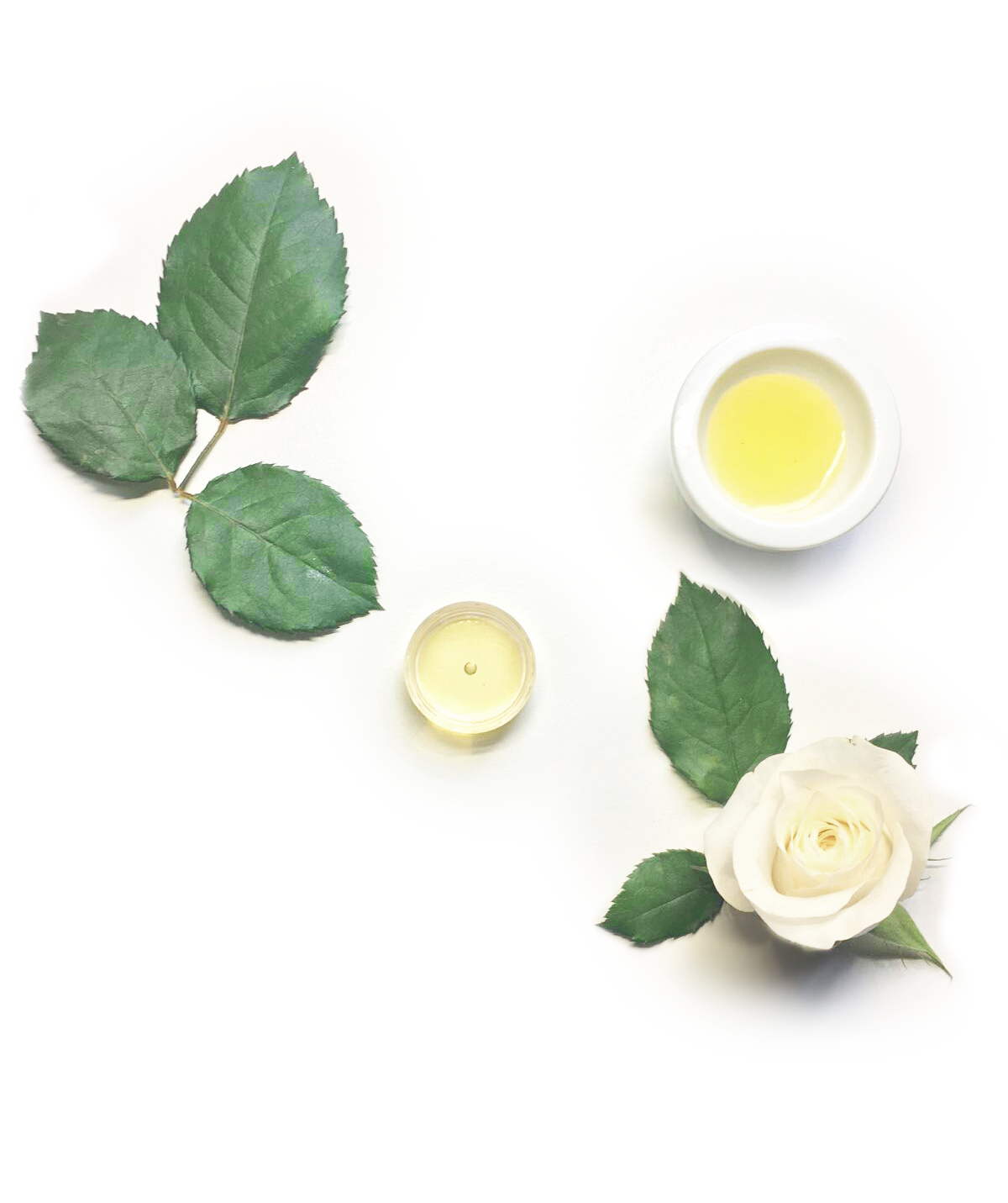 Manatude Organic Argan Rose Geranium Serum Geraniumlijnen
