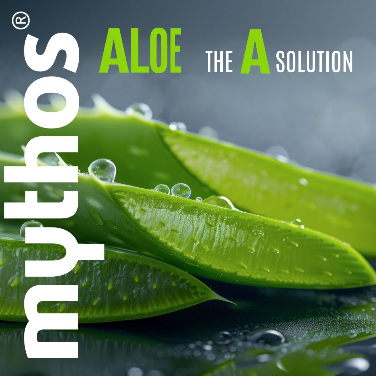 Mythos Aloe after sun melk 100ml aloë vera