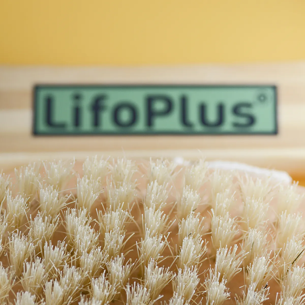 Lifoplus rugborstel hout natuurlijk haar afneembare steel