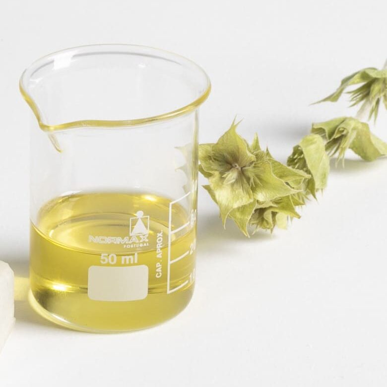MontOlympe Olympus Mountain Tea gezicht serum verstevigend