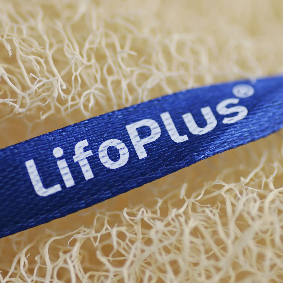 Lifoplus luffaspons onbewerkt small 12-13 cm met koord